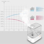 Avez-vous besoin d'un humidificateur en hiver?