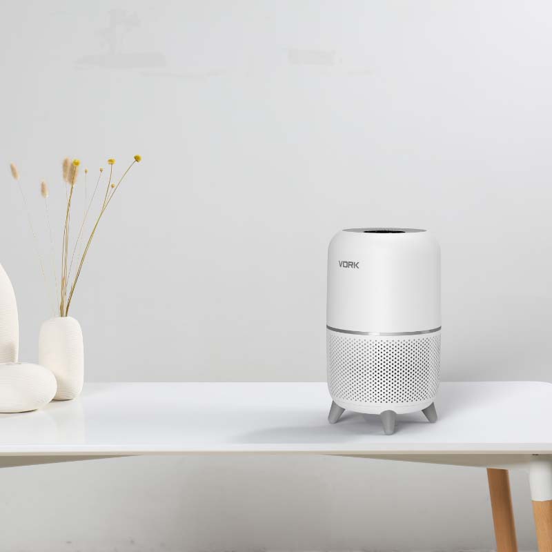 Les purificateurs d'air sont les meilleurs pour garder l'environnement de nos maisons propre